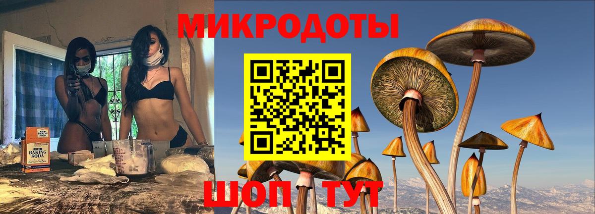 Галлюциногенные грибы Magic Shrooms Рыбинск